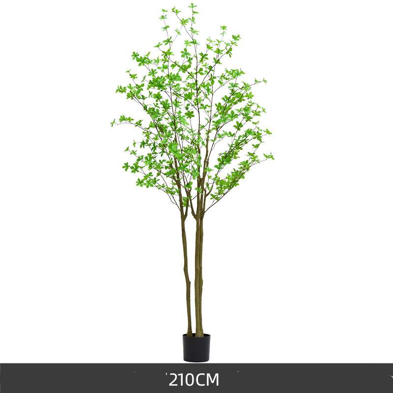 210cm tall Artificial Japanese Enkianthus