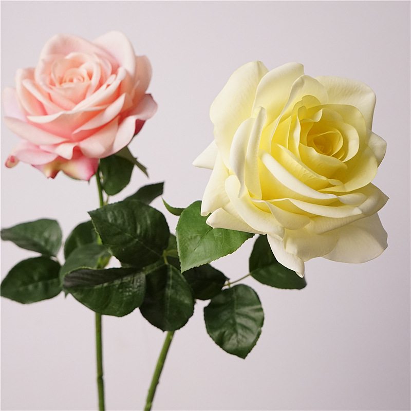 Wholesale roses with a soft feel