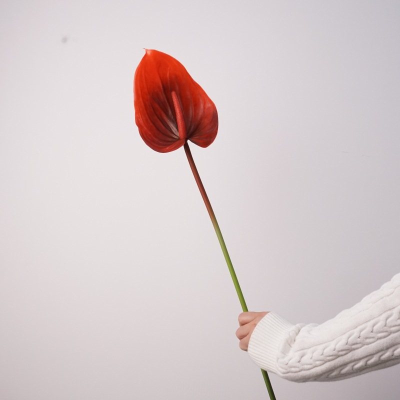 Artificial lifelike Anthurium