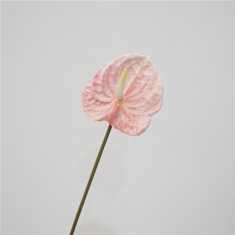 Multi-colored artificial anthurium
