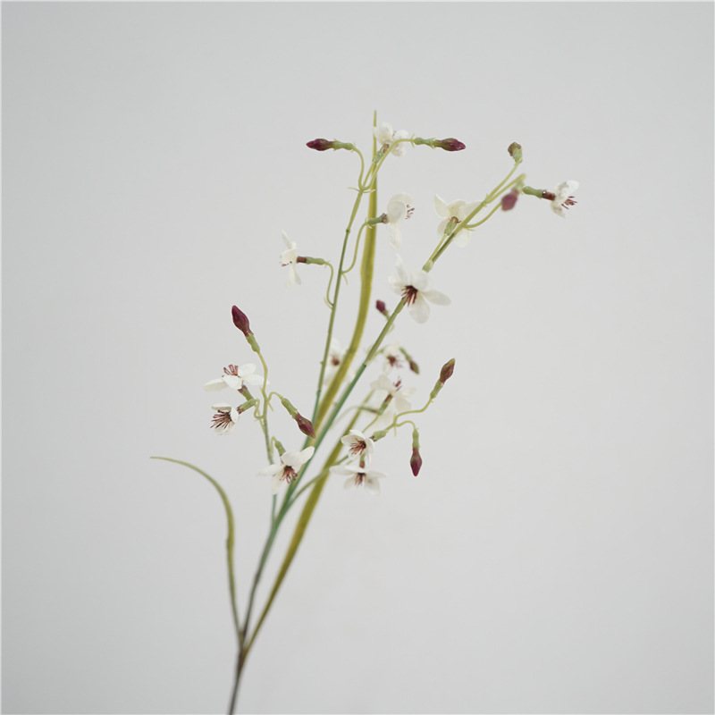 Artificial Larkspur herbaceous plant