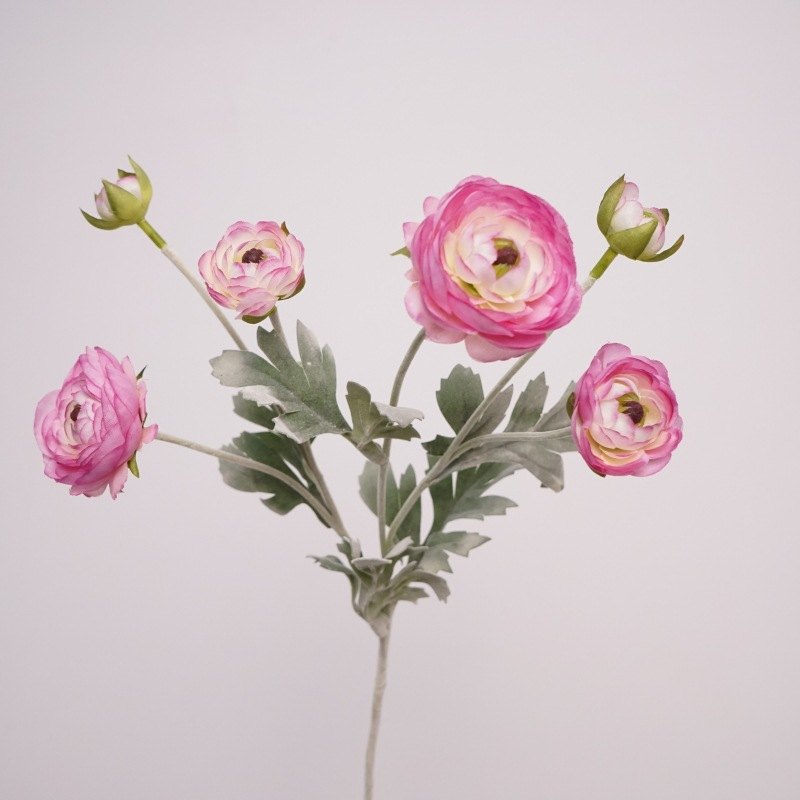 Realistic Ranunculus Wholesale