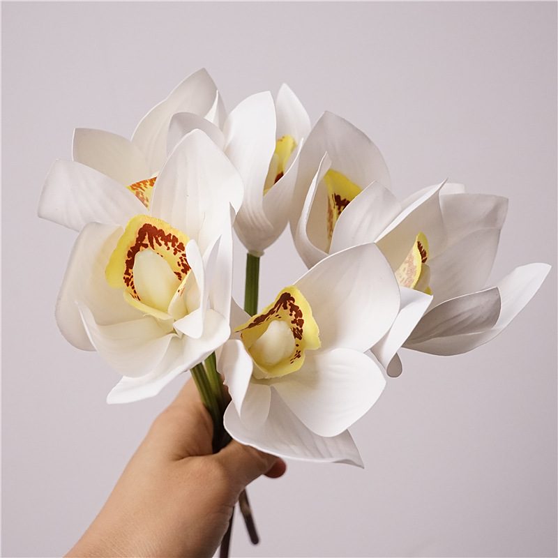 Realistic Cymbidium Orchid Bunch
