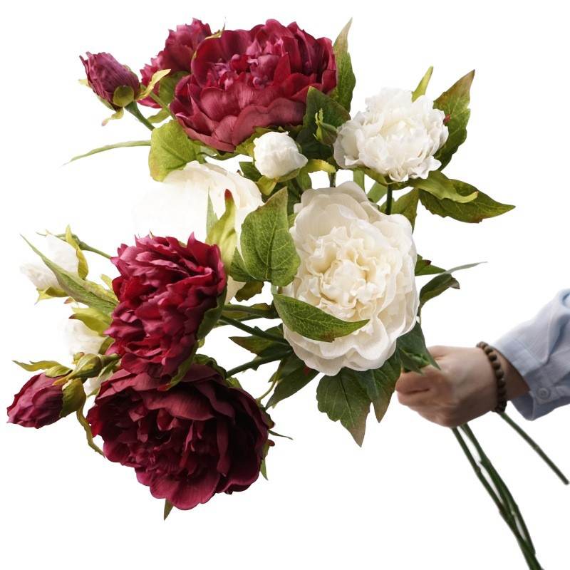 A realistic peony with three blooms