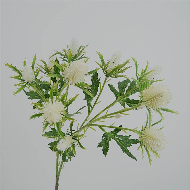 Realistic Eryngium