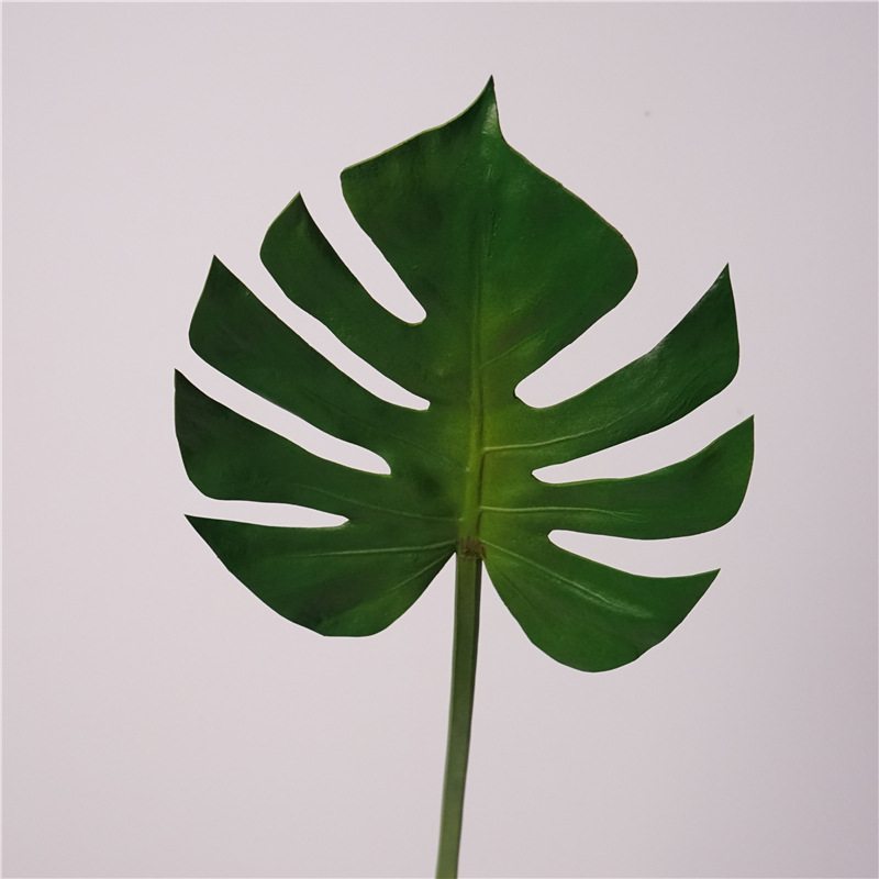 Simulted Monstera Leaf