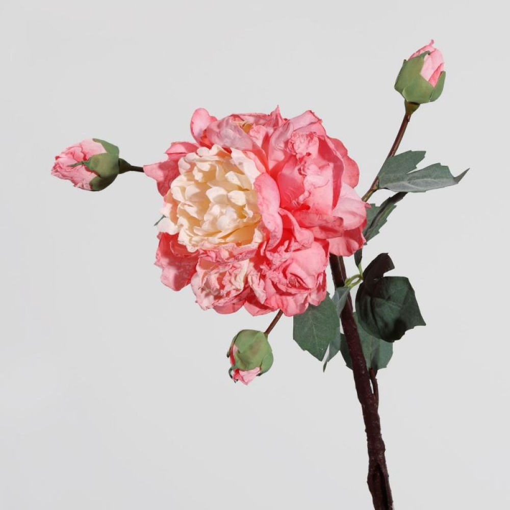 Artificial multi-colored peony branches