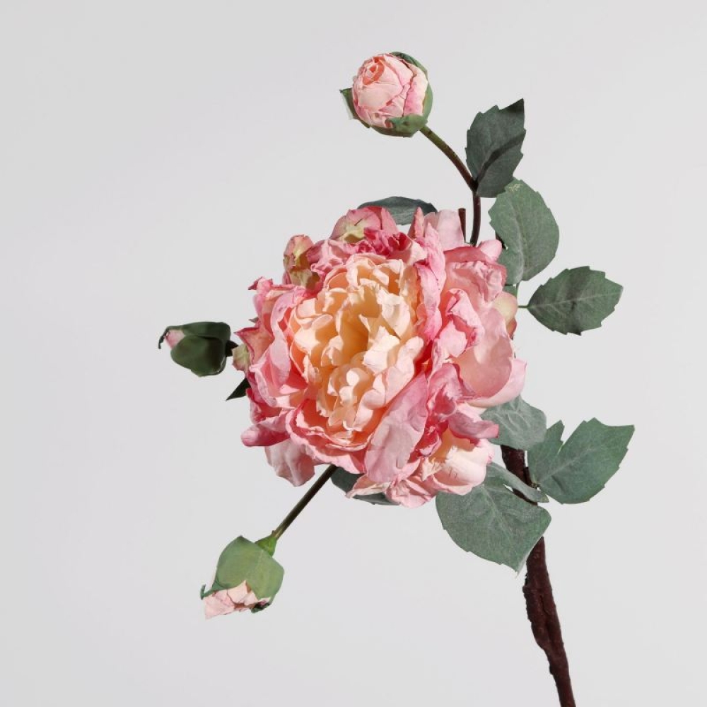 Artificial multi-colored peony branches