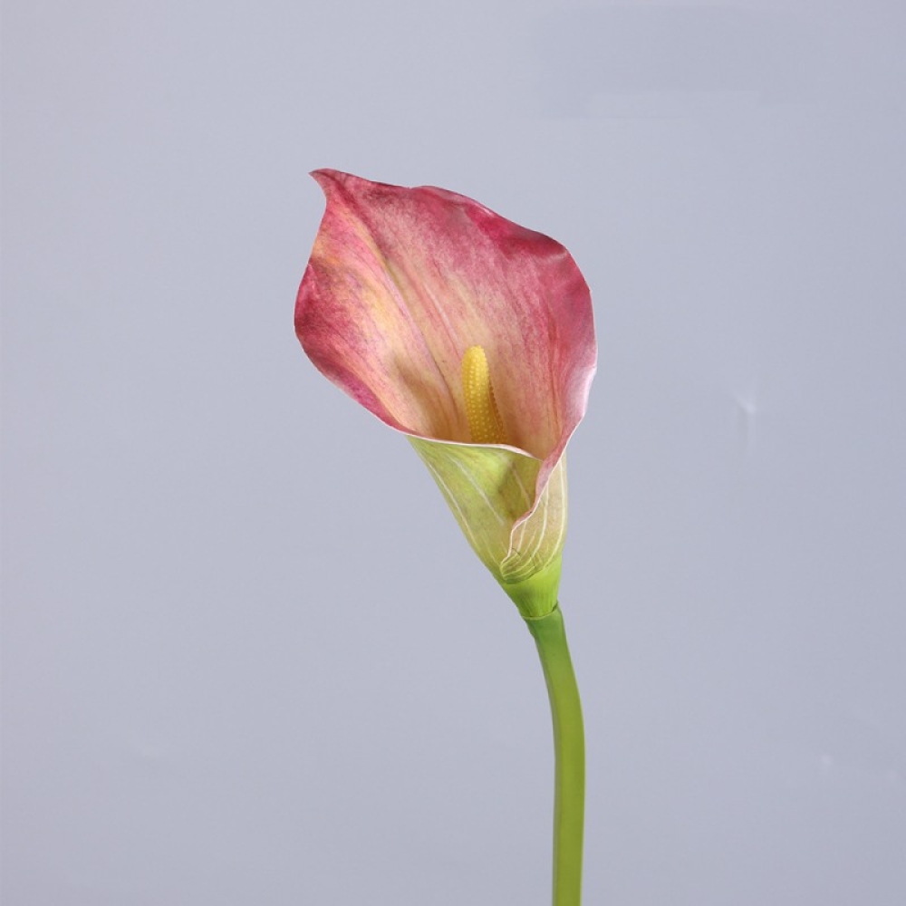 Artificial multi-colored calla lilies
