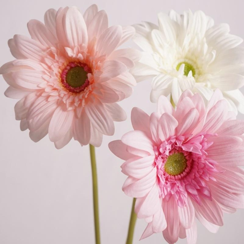Wholesale Artificial Gerbera Stem – 65cm Long Stem
