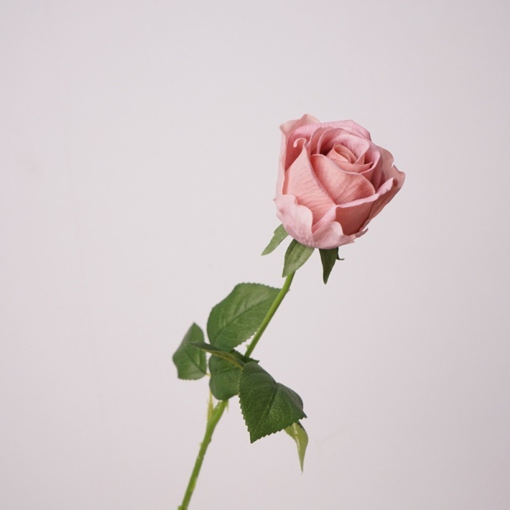 Soft-Touch Long Stem Artificial Rose – 65cm