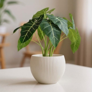 Striped plastic large flower pot