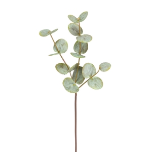 Artificial  eucalyptus branches
