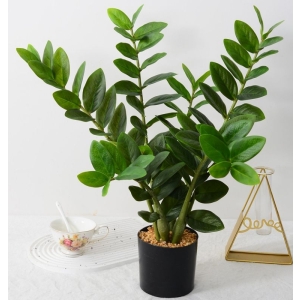 Artificial Zamioculcas zamiifolia
