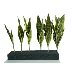 Artificial snake plants wholesale