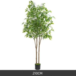 120-210cm Artificial Variegated Ficus
