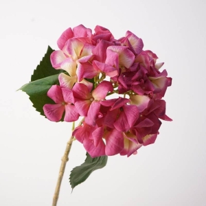 Soft-touch single hydrangea stem