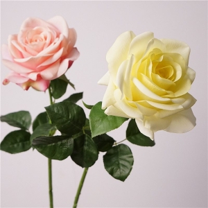 Wholesale roses with a soft feel