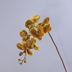 High-quality real touch Phalaenopsis orchid
