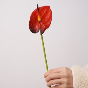 Artificial Anthurium