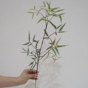 Artificial Dicranopteris Dichotoma