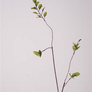 Faux banyan tree branches