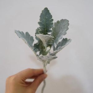 Faux Dusty Miller