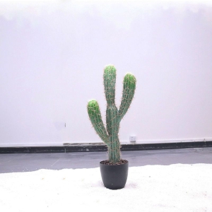Artificial Mexican cylindrical cactus with three branches