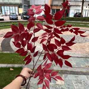 Artificial Campsis Leaves