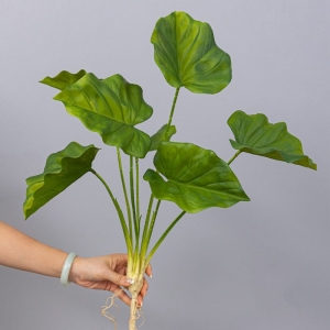 Artificial Calathea Branch