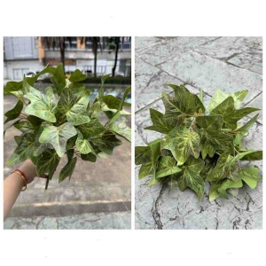 Lifelike sweet potato leaf