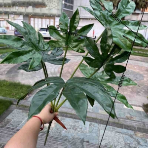 Artificial Japanese Aralia Branch