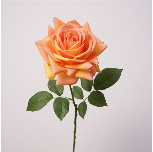Wholesale soft-touch multi-colored roses