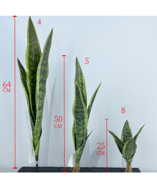 Artificial  snake plant