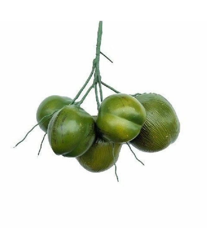 Artificial coconut