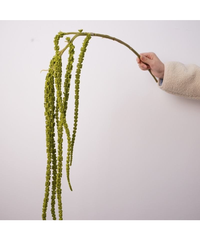 Artificial amaranth without leaf
