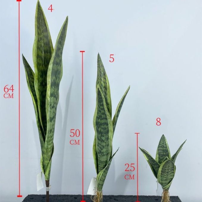 Simulated snake plant