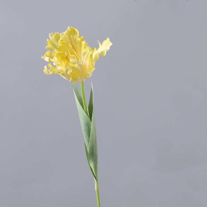 Artificial  parrot tulip