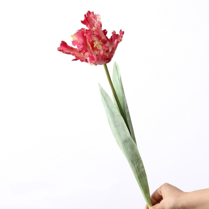 Artificial  parrot tulip