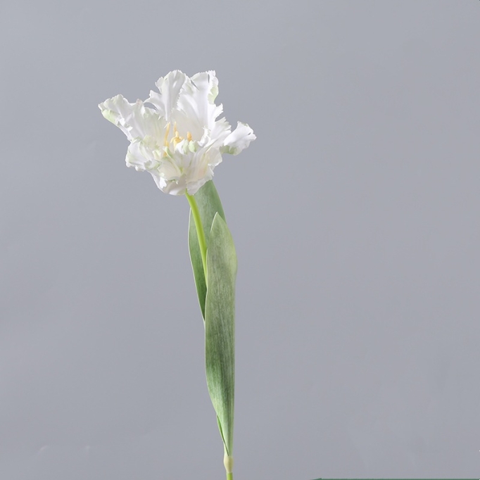 Artificial  parrot tulip