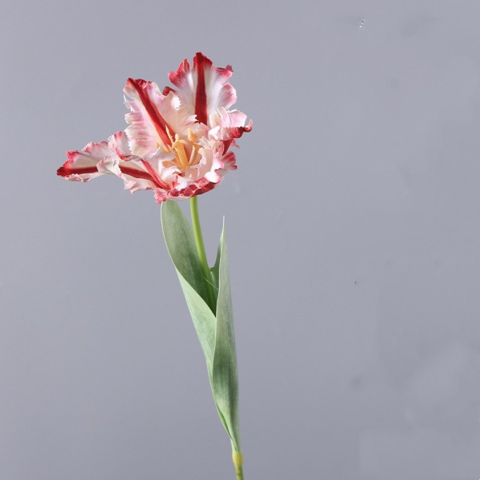 Artificial  parrot tulip