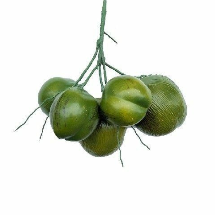 Artificial coconut