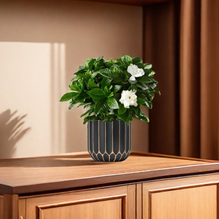 Plastic plant pot