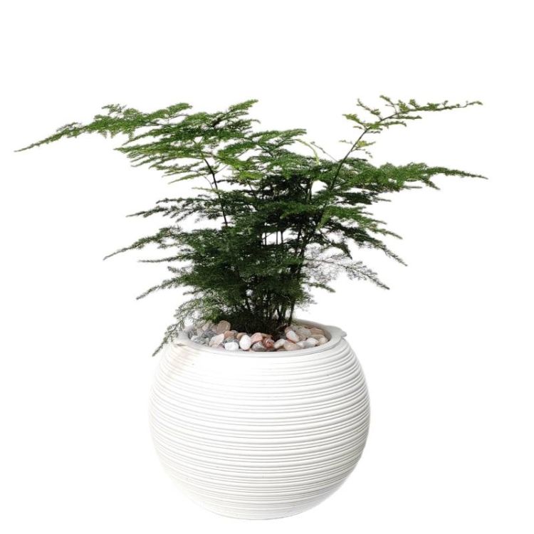 Wholesale spherical plastic flower pots