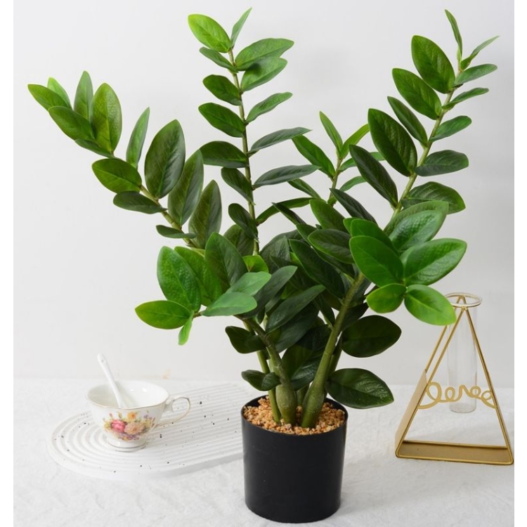 Artificial Zamioculcas zamiifolia