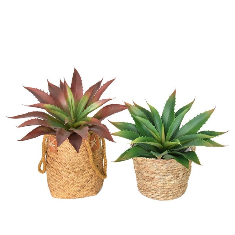 Artificial Aloe Vera