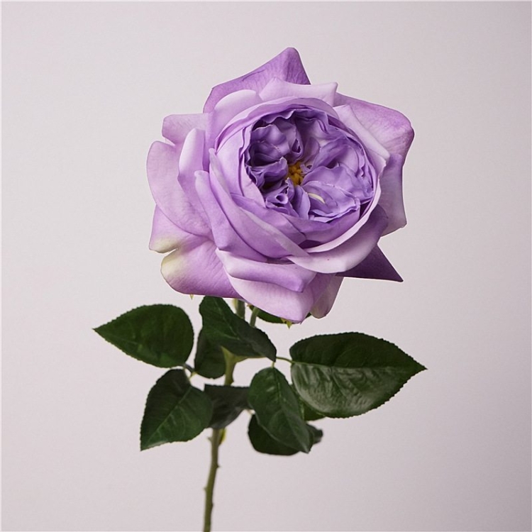 Highly realistic soft-touch rose