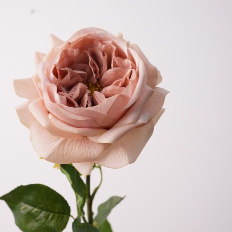 Highly realistic soft-touch rose