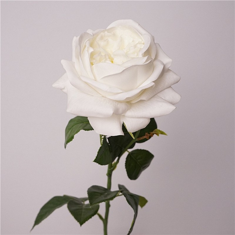 Highly realistic soft-touch rose