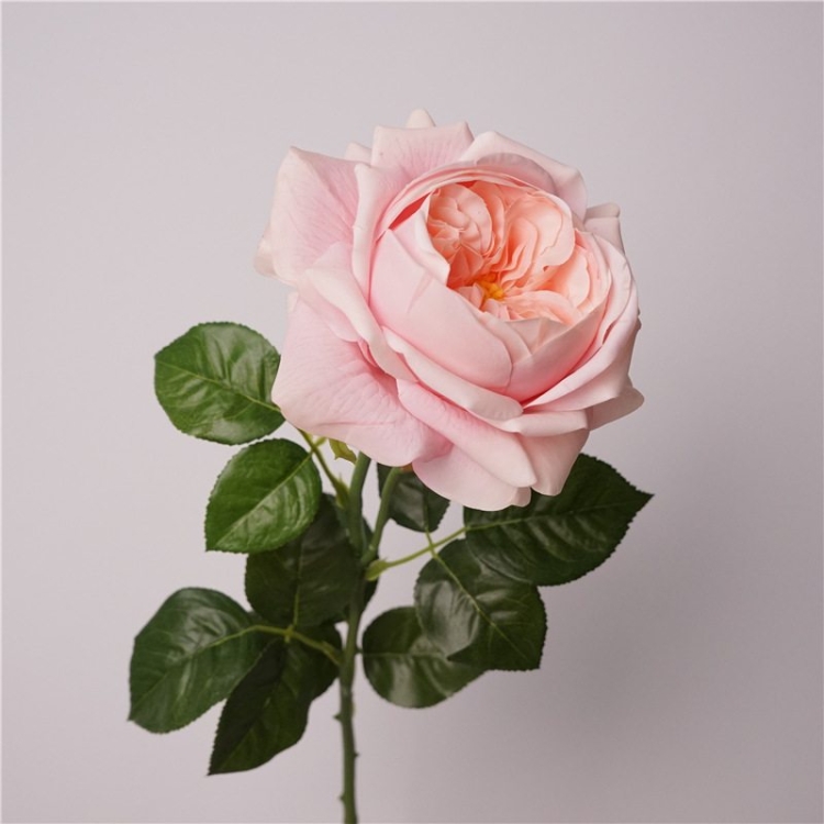 Highly realistic soft-touch rose